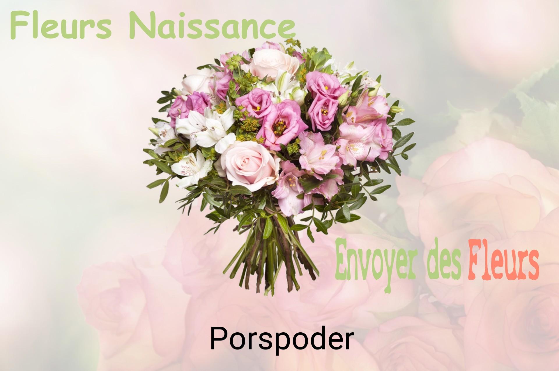 Bouquet de fleurs de naissance livré à Porspoder
